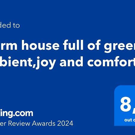 Warm House Full Of Green Ambient,Joy And Comfort Zagreb Bagian luar foto