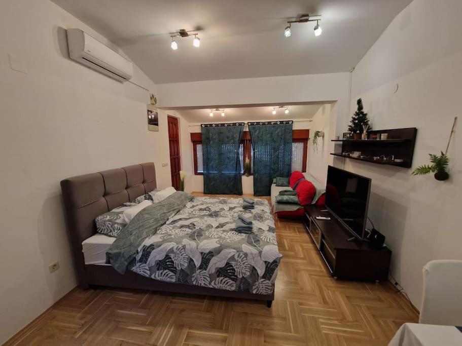 Warm House Full Of Green Ambient,Joy And Comfort Zagreb Bagian luar foto