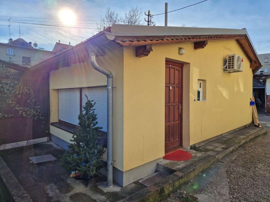 Warm House Full Of Green Ambient,Joy And Comfort Zagreb Bagian luar foto
