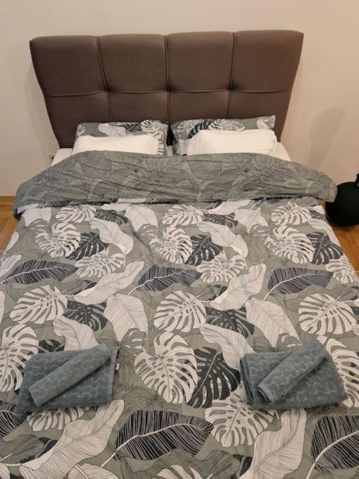 Warm House Full Of Green Ambient,Joy And Comfort Zagreb Bagian luar foto